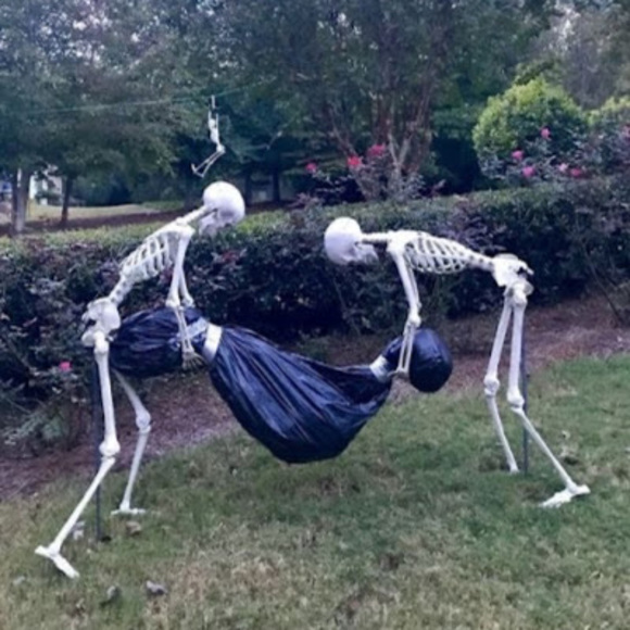 Meet your Posher, Alysa - Picture 1 of 1